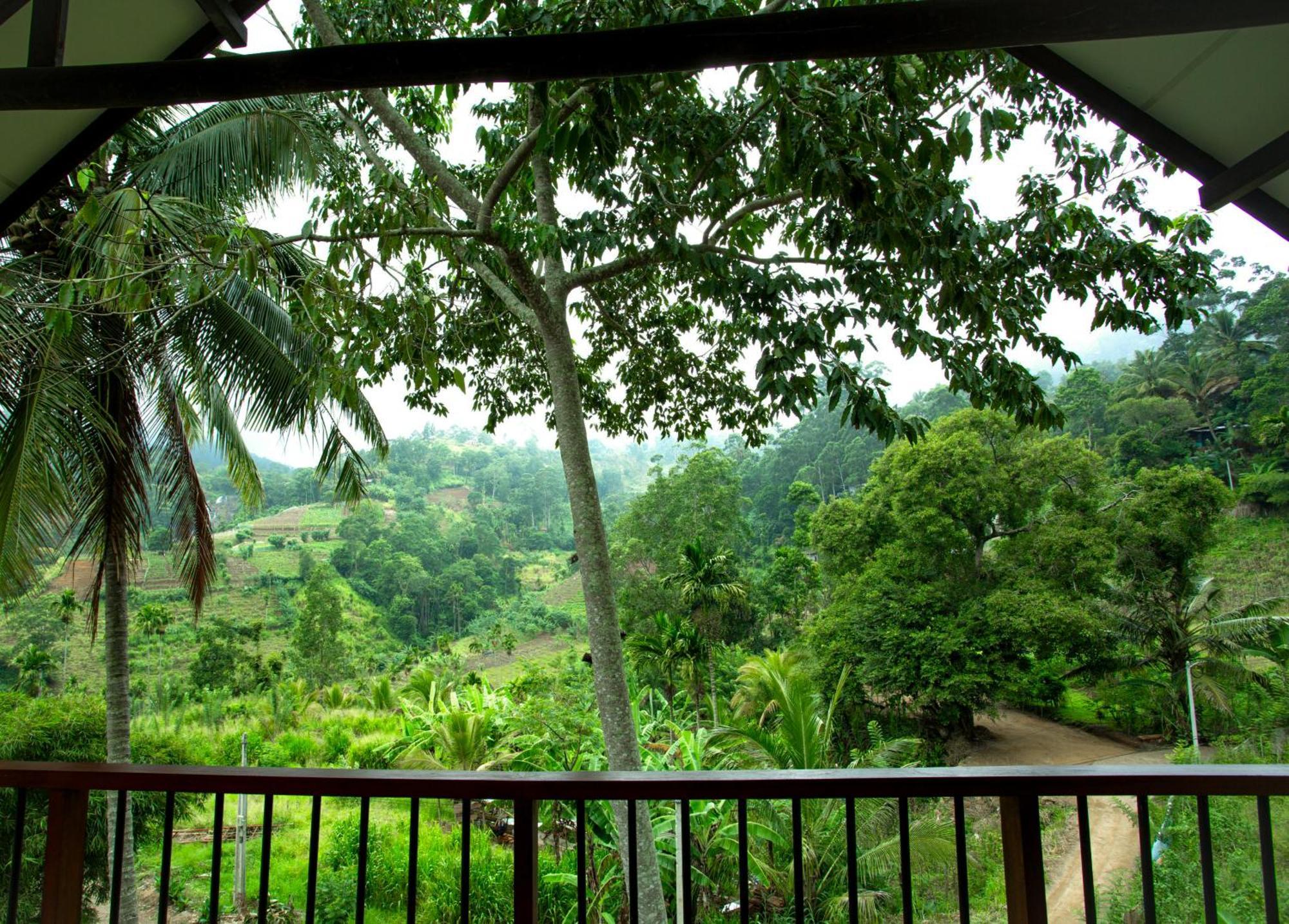 Bed and Breakfast Ella Blue Heaven Exteriér fotografie